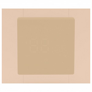Терморегулятор для теплого пола TDM-AA4802AM