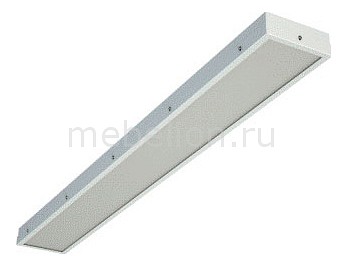 

Накладной светильник TL08 OL EM1 IP54 13165