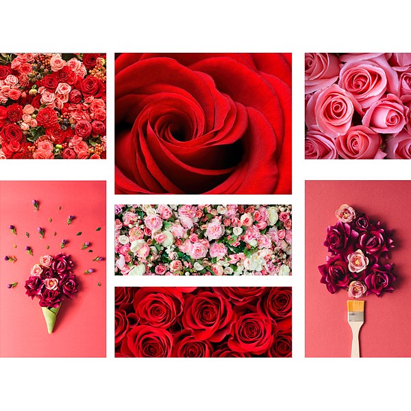 фото Набор из 7 картин (110х80 см) Красные розы HE-110-107 Ekoramka