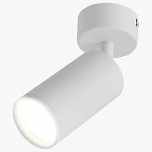 Светильник потолочный LEDS POWER SPOT (Россия)
