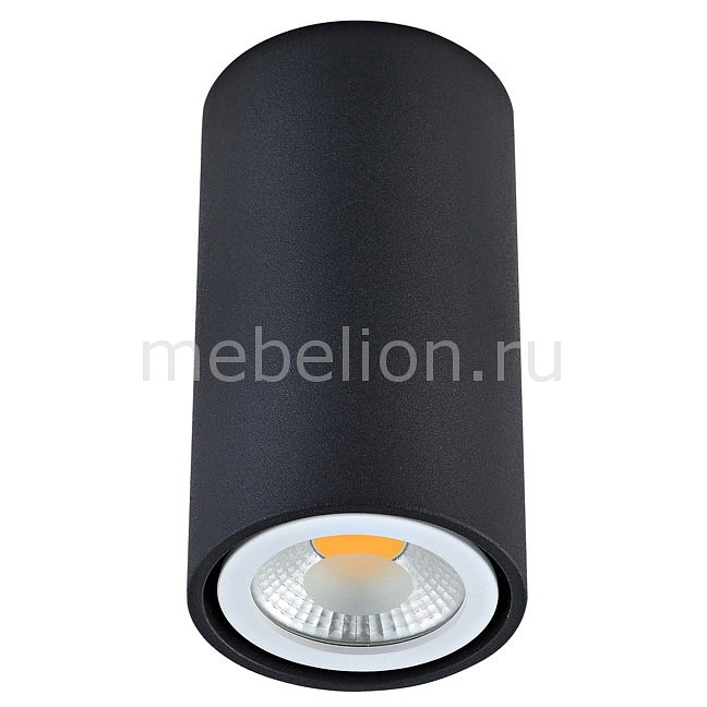 

Накладной светильник N1595Black/RAL9005