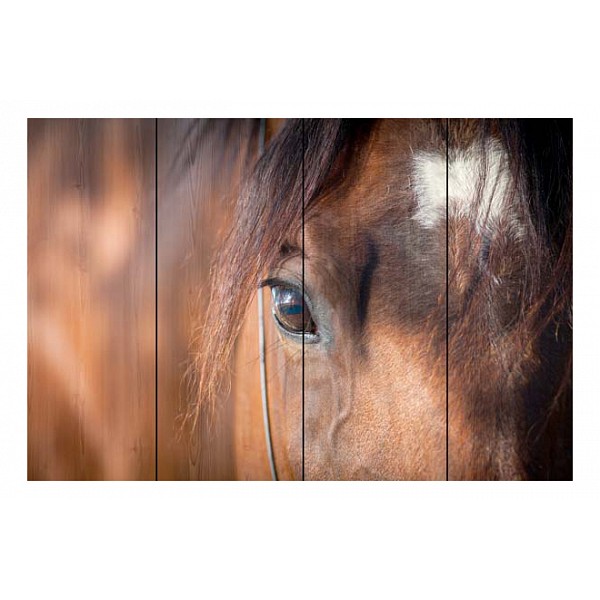 

Картина (90х60 см) Лошадь DE-104-395, (90х60 см) Лошадь DE-104-395, Коричневый