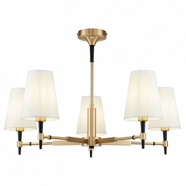 

Подвесная люстра Zaragoza H001CL-05BS